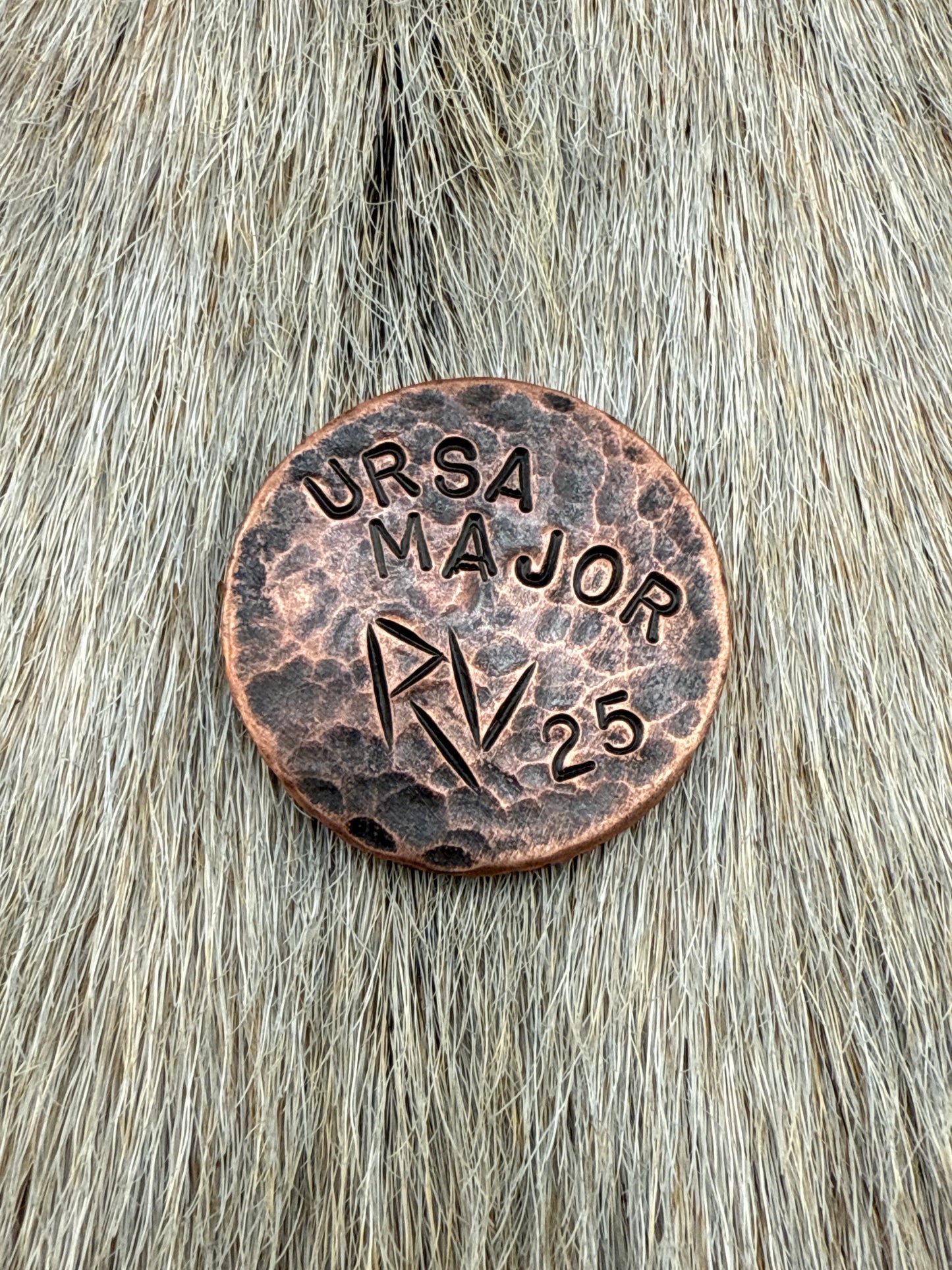 Constellation Coin: Ursa Major