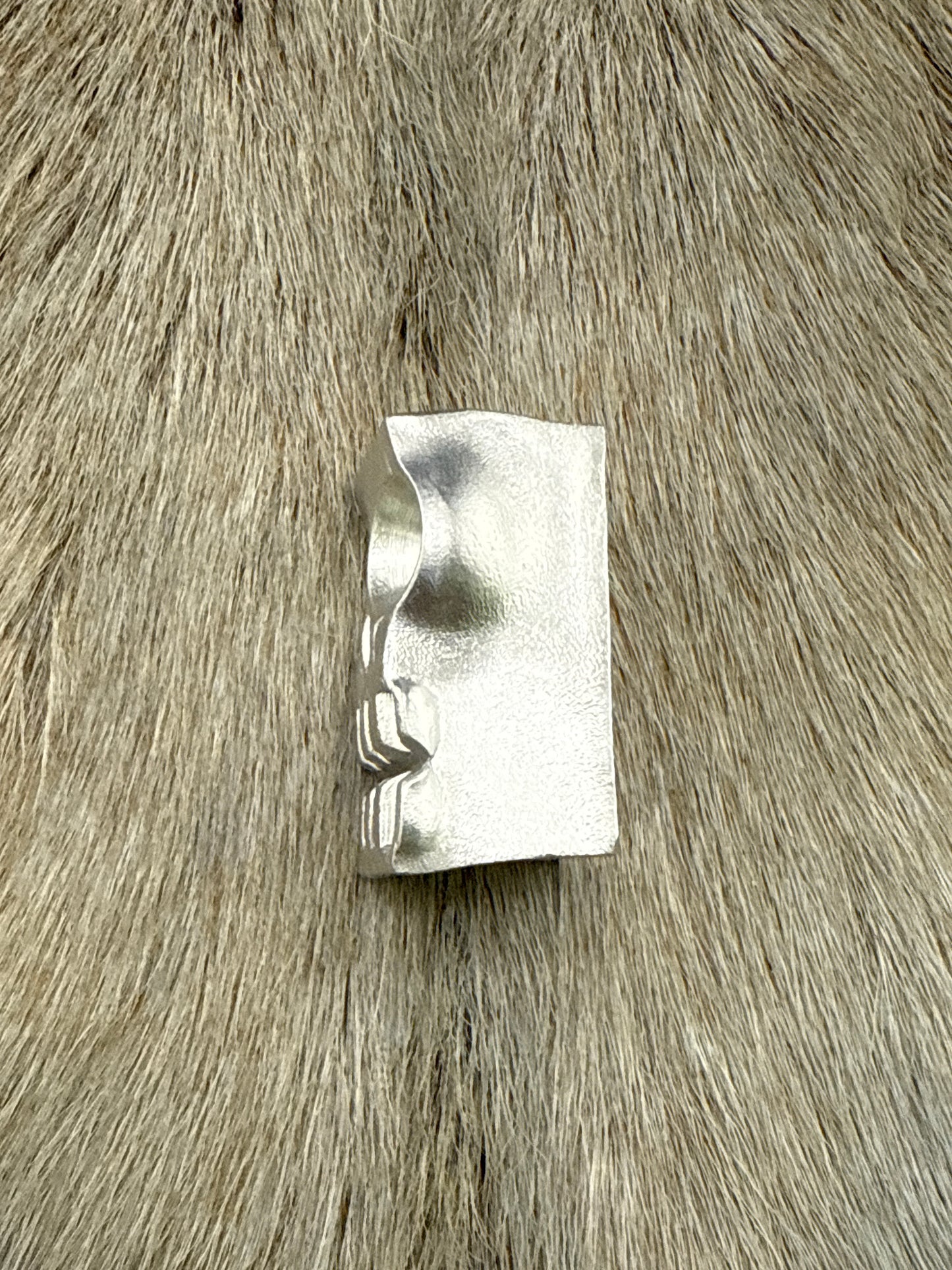 Aluminum Skull