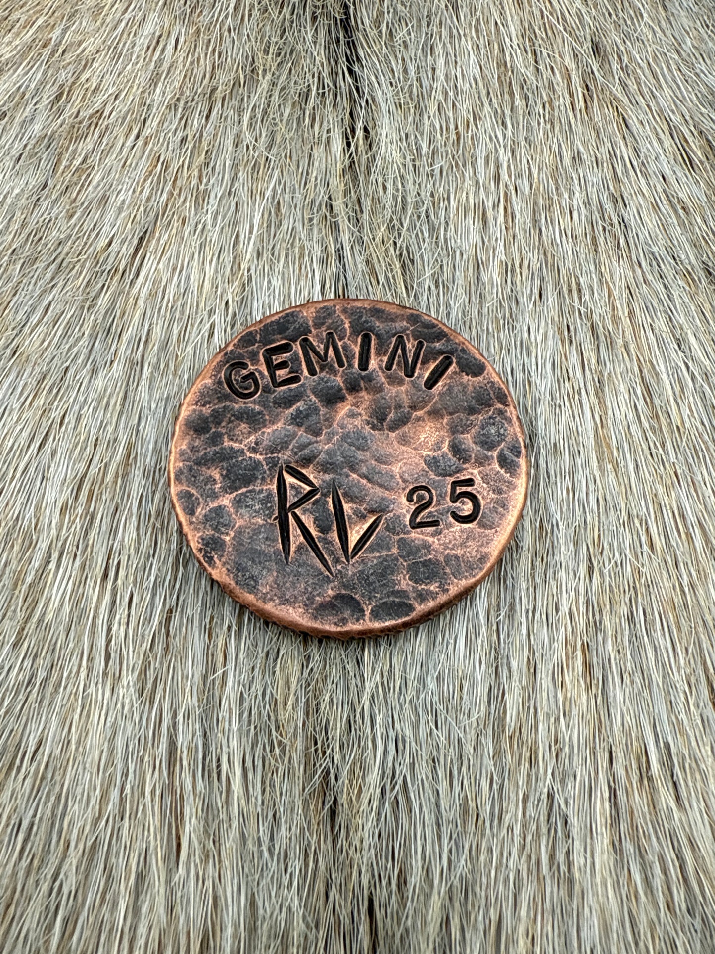 Constellation Coin: Gemini