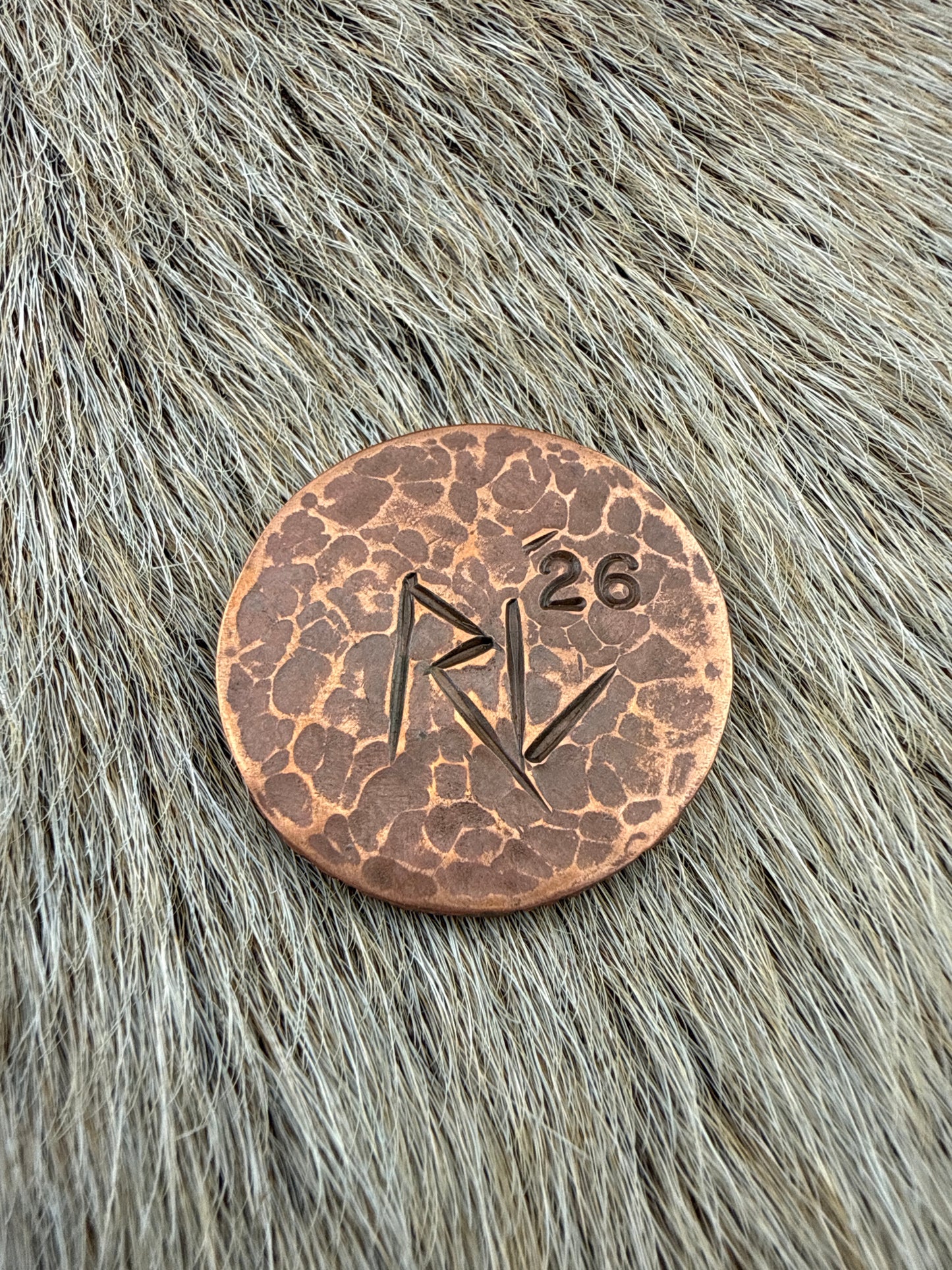 RustCoin: Hold Fast