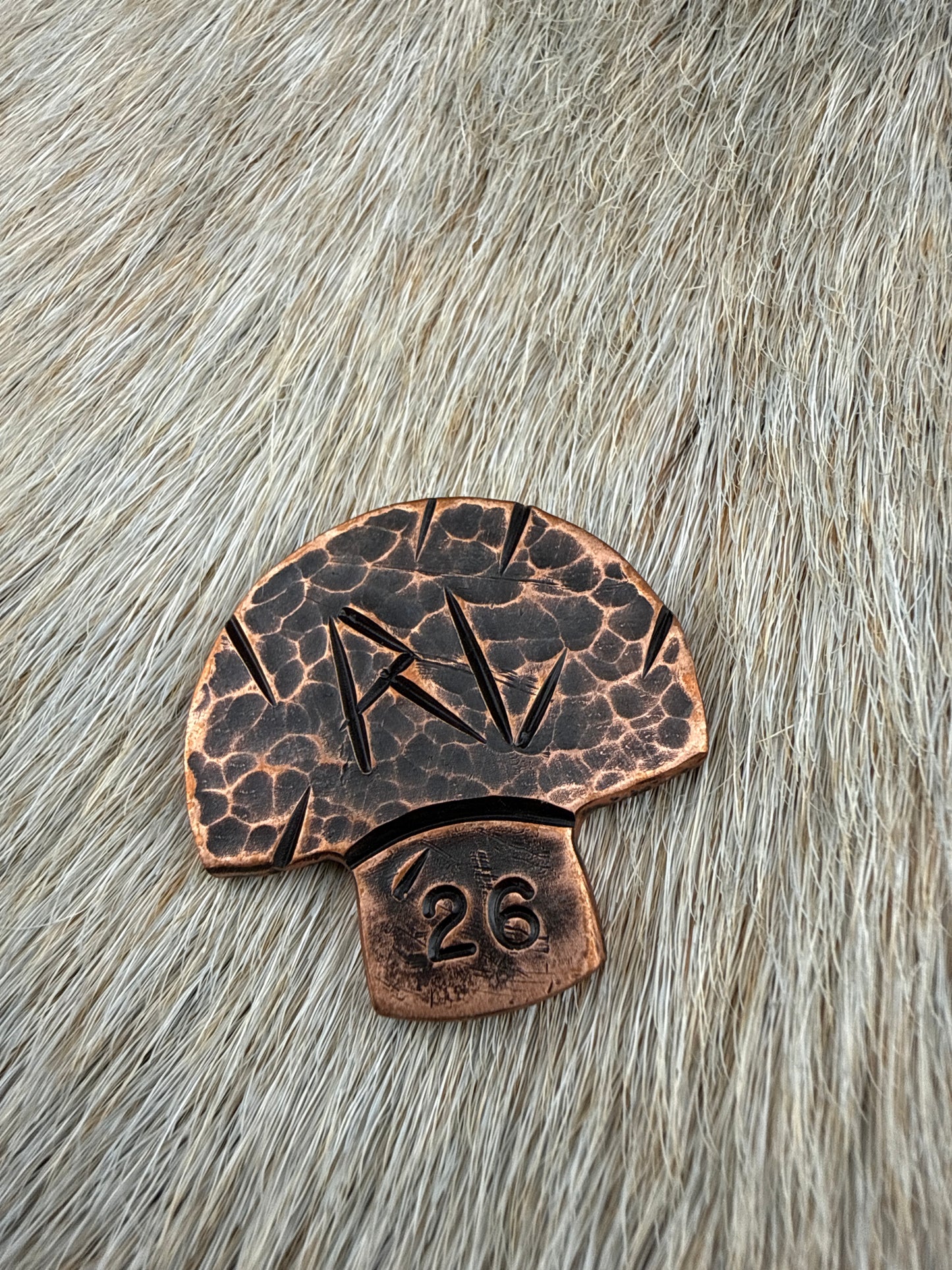 RustCoin: DeadShroom