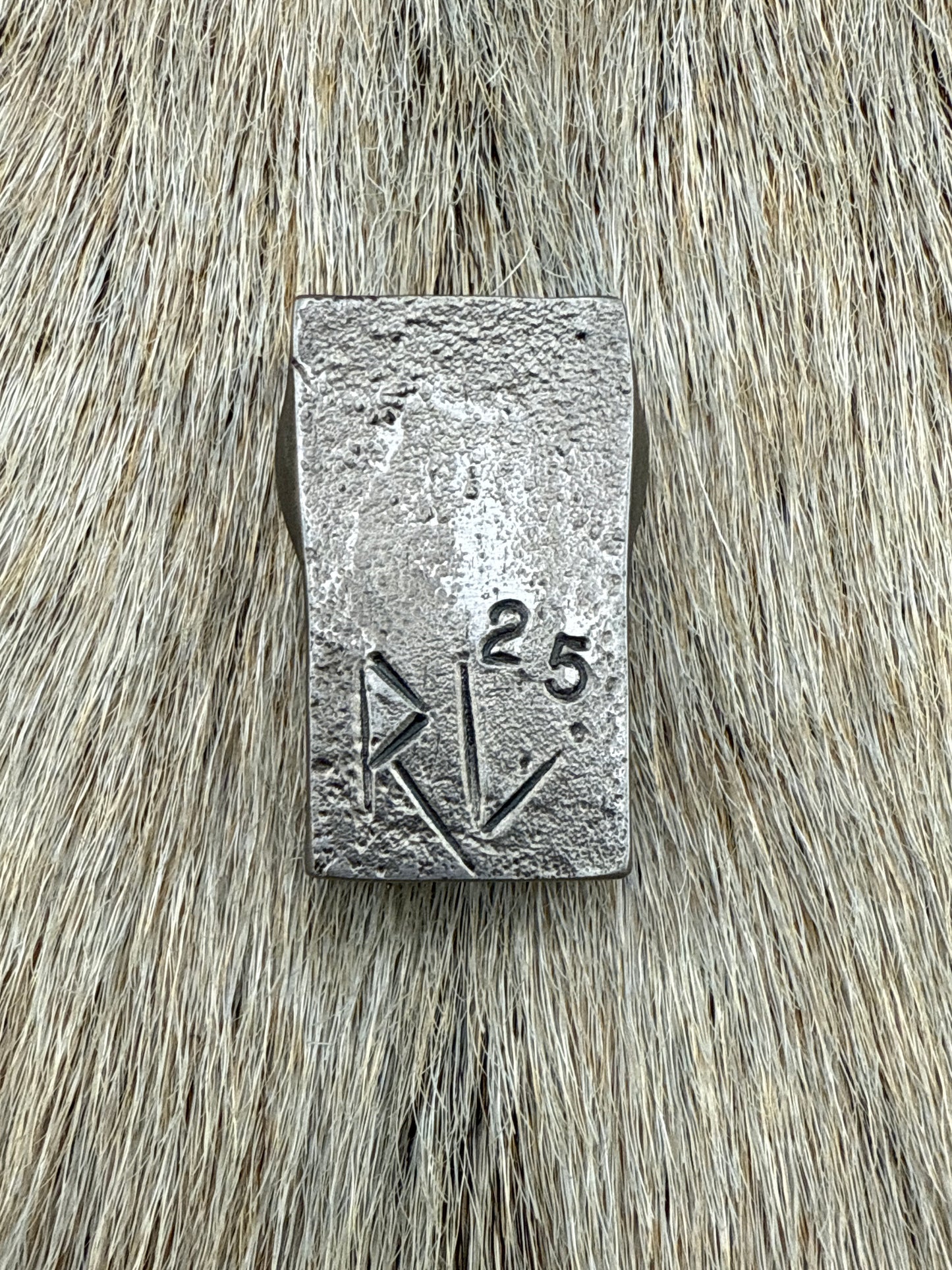RailSpike: RustAlien