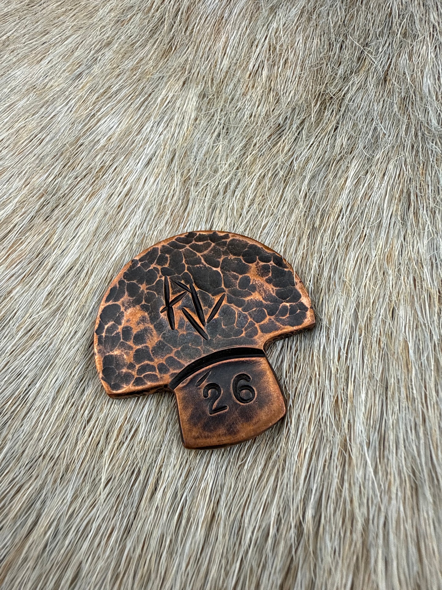 RustCoin: 1-UP Shroom