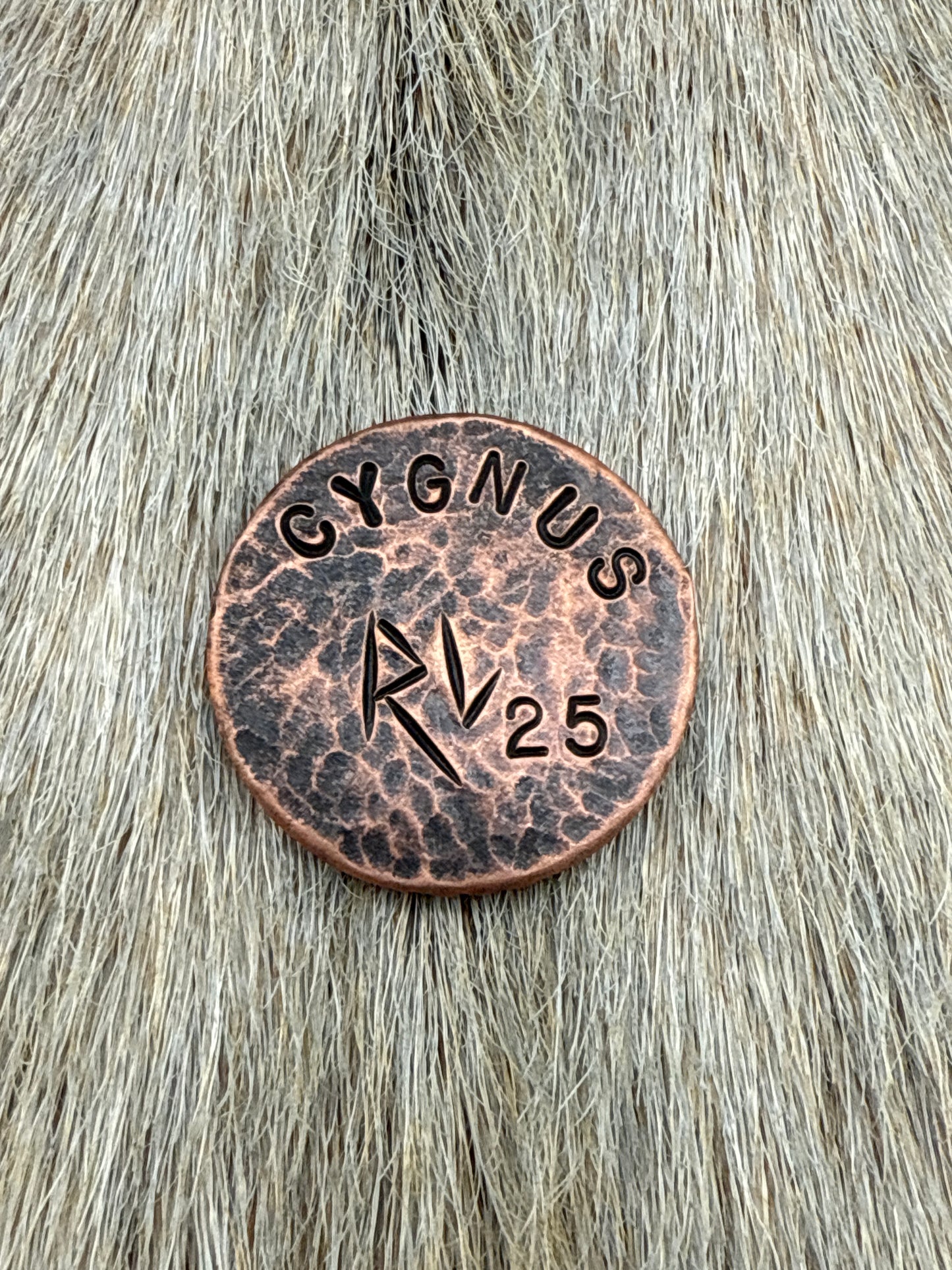 Constellation Coin: Cygnus