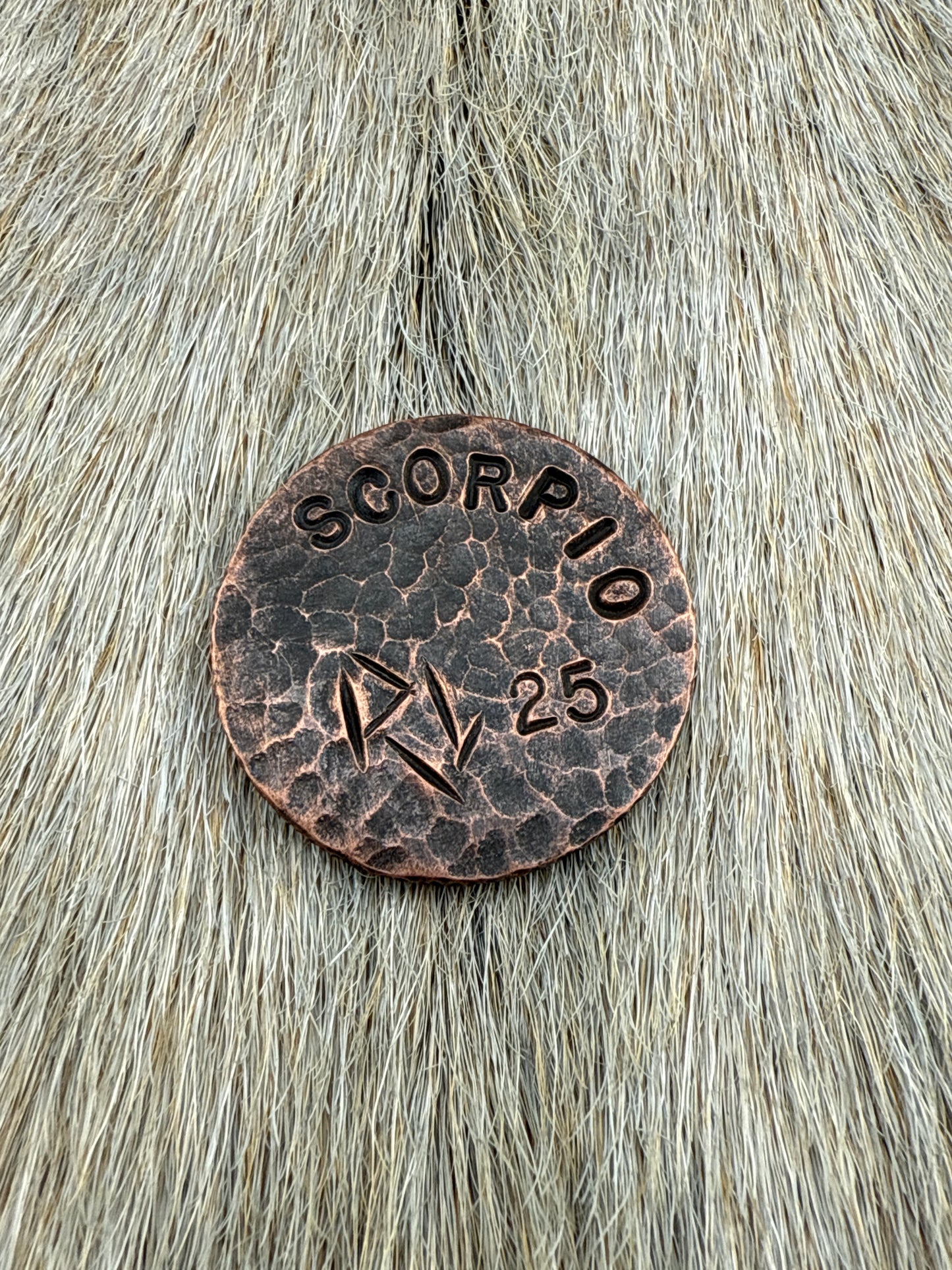 Constellation Coin: Scorpio