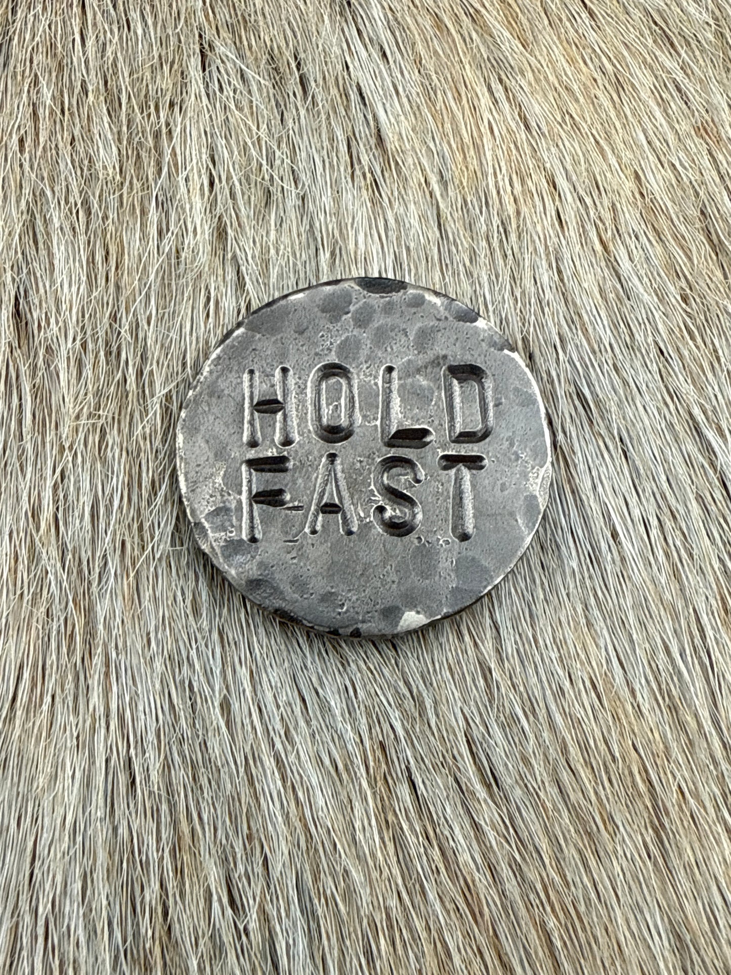 RustCoin: Hold Fast