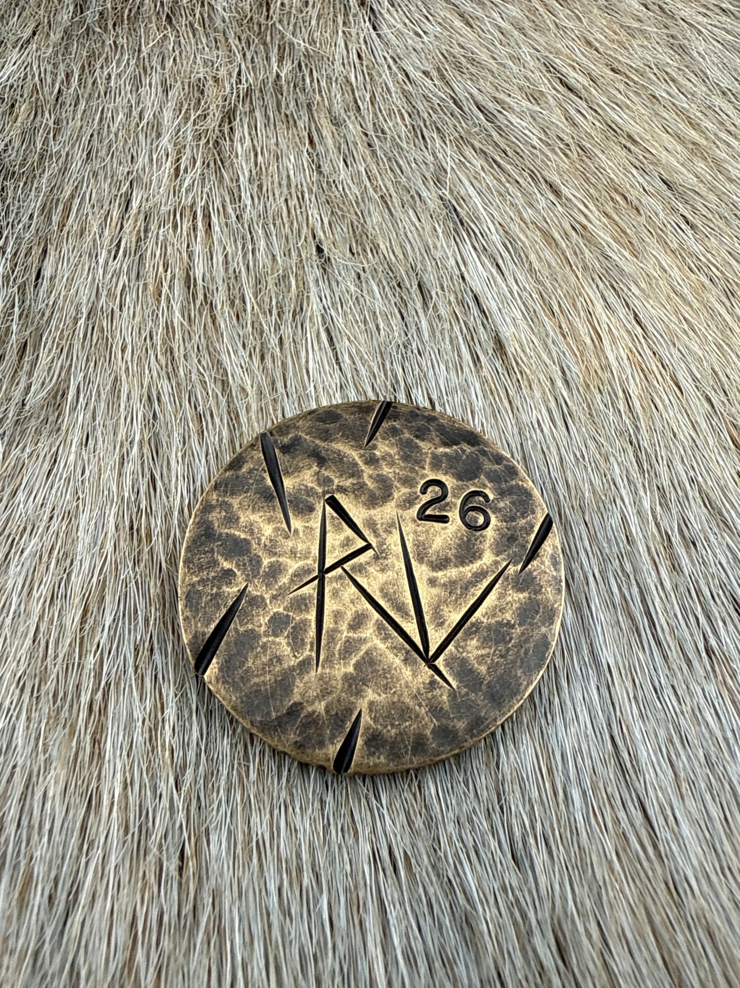 RustCoin: Memento Mori