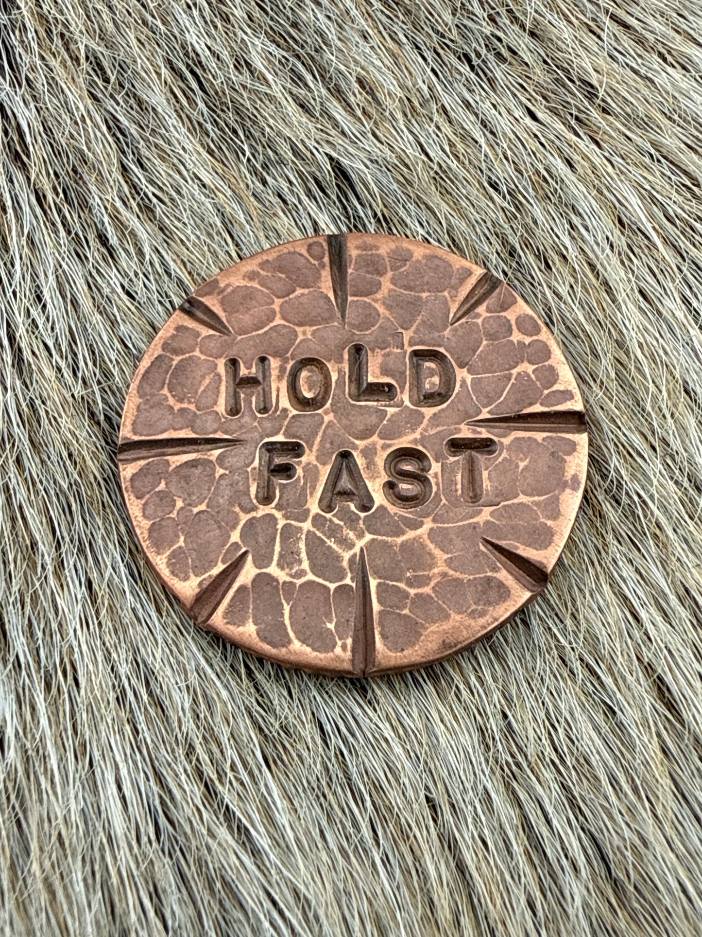 RustCoin: Hold Fast