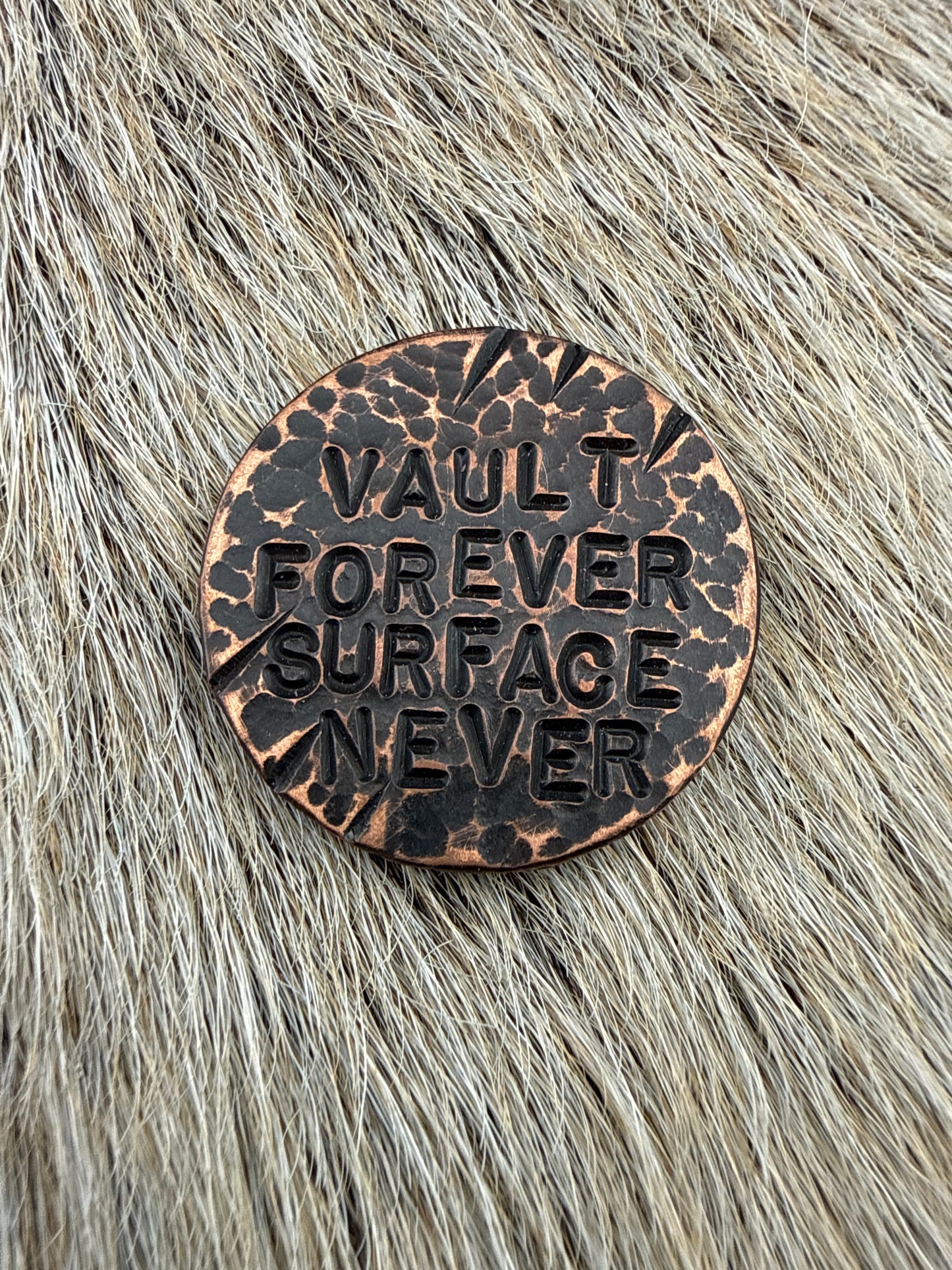 RustCoin: Vault Forever