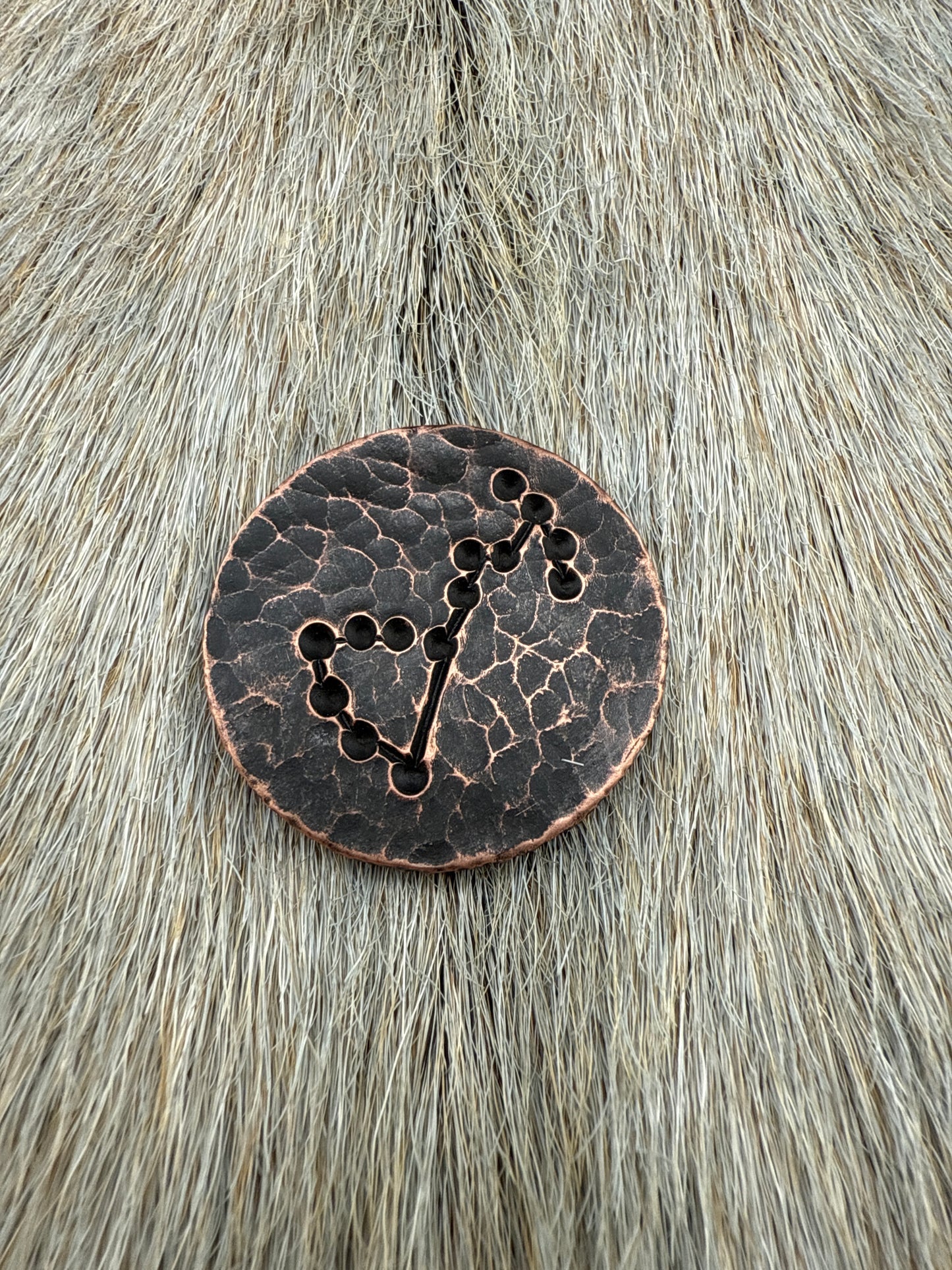 Constellation Coin: Scorpio