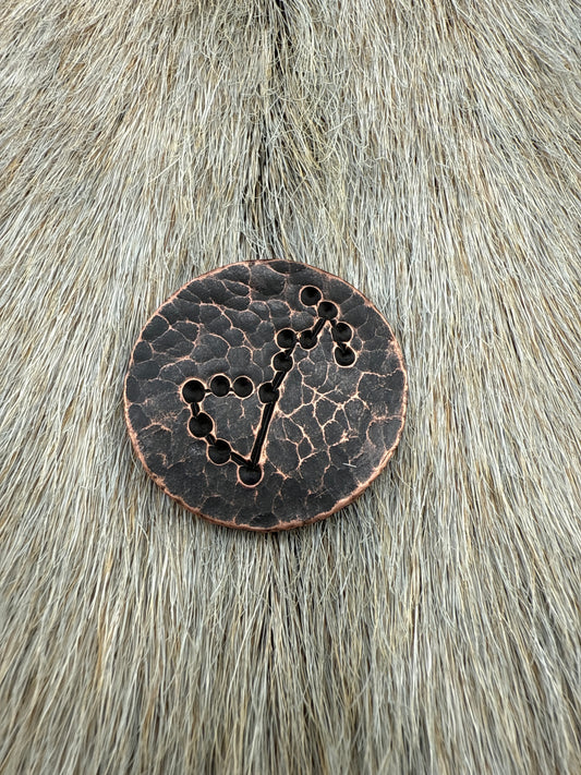 Constellation Coin: Scorpio