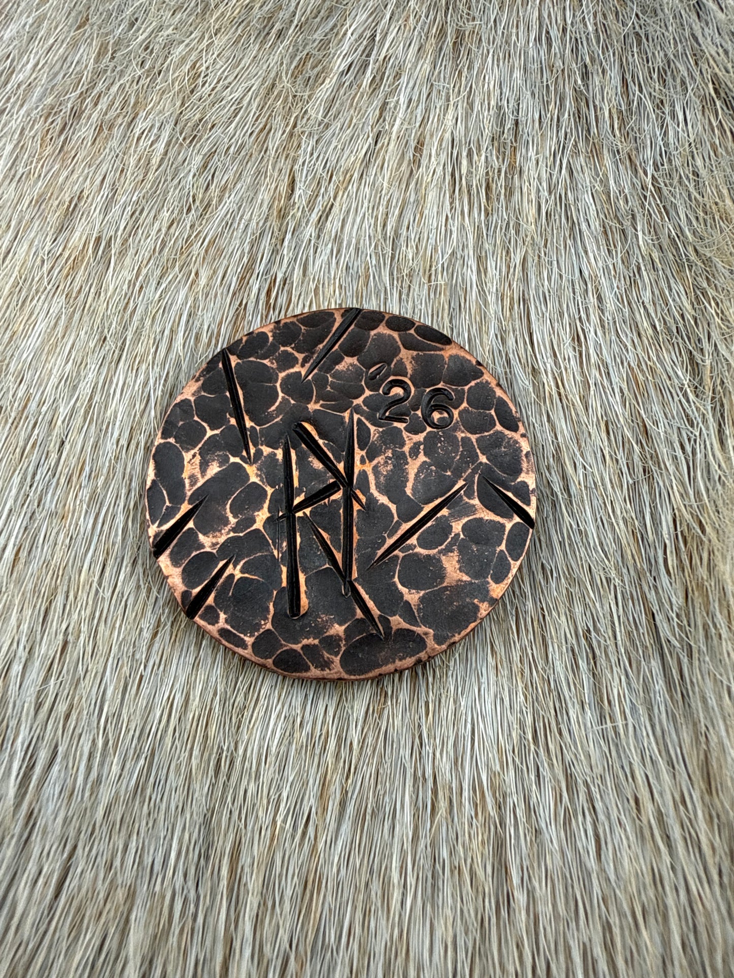 RustCoin: Hell’s Coming With Me