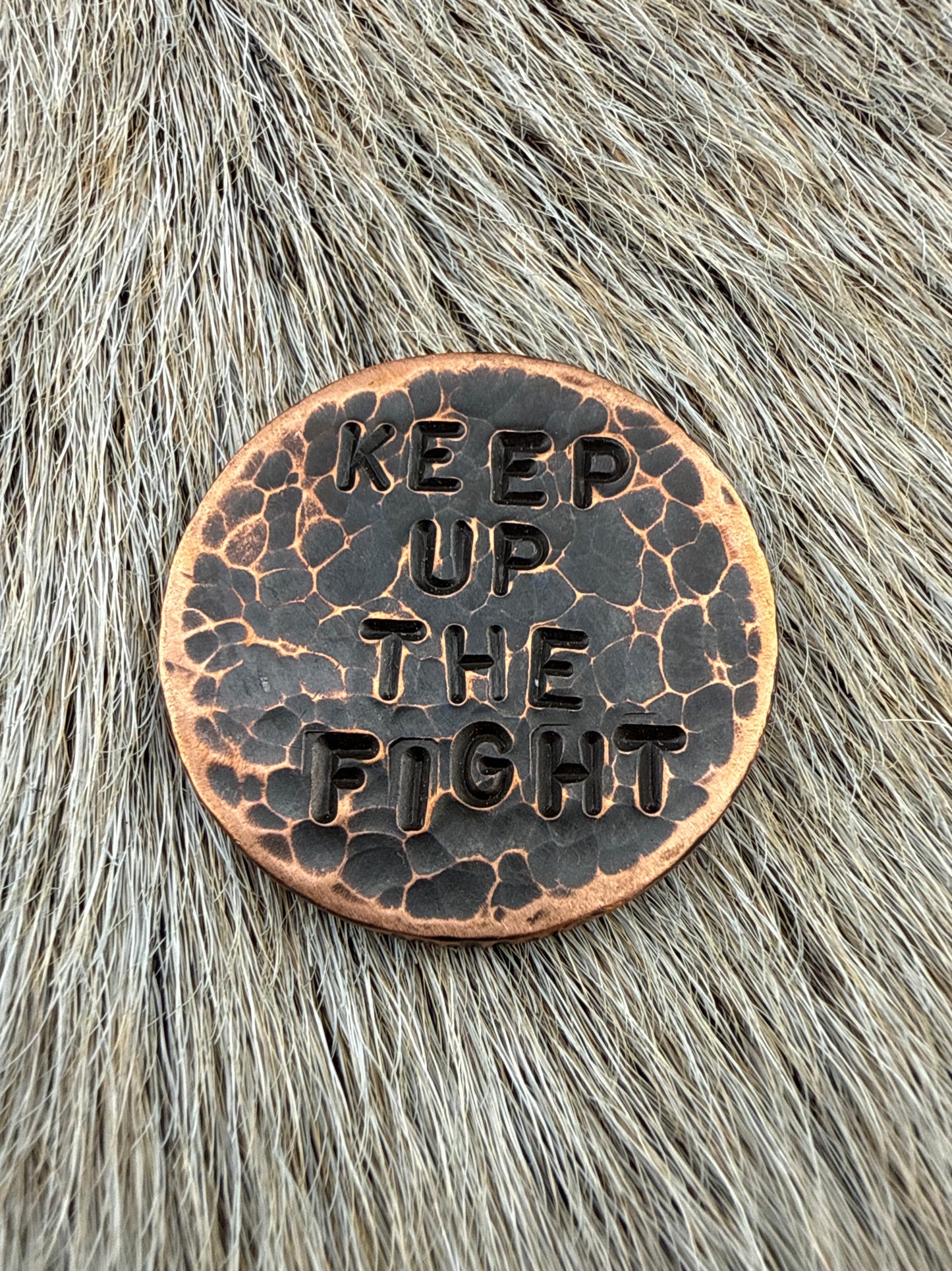 RustCoin: Keep Up The Fight