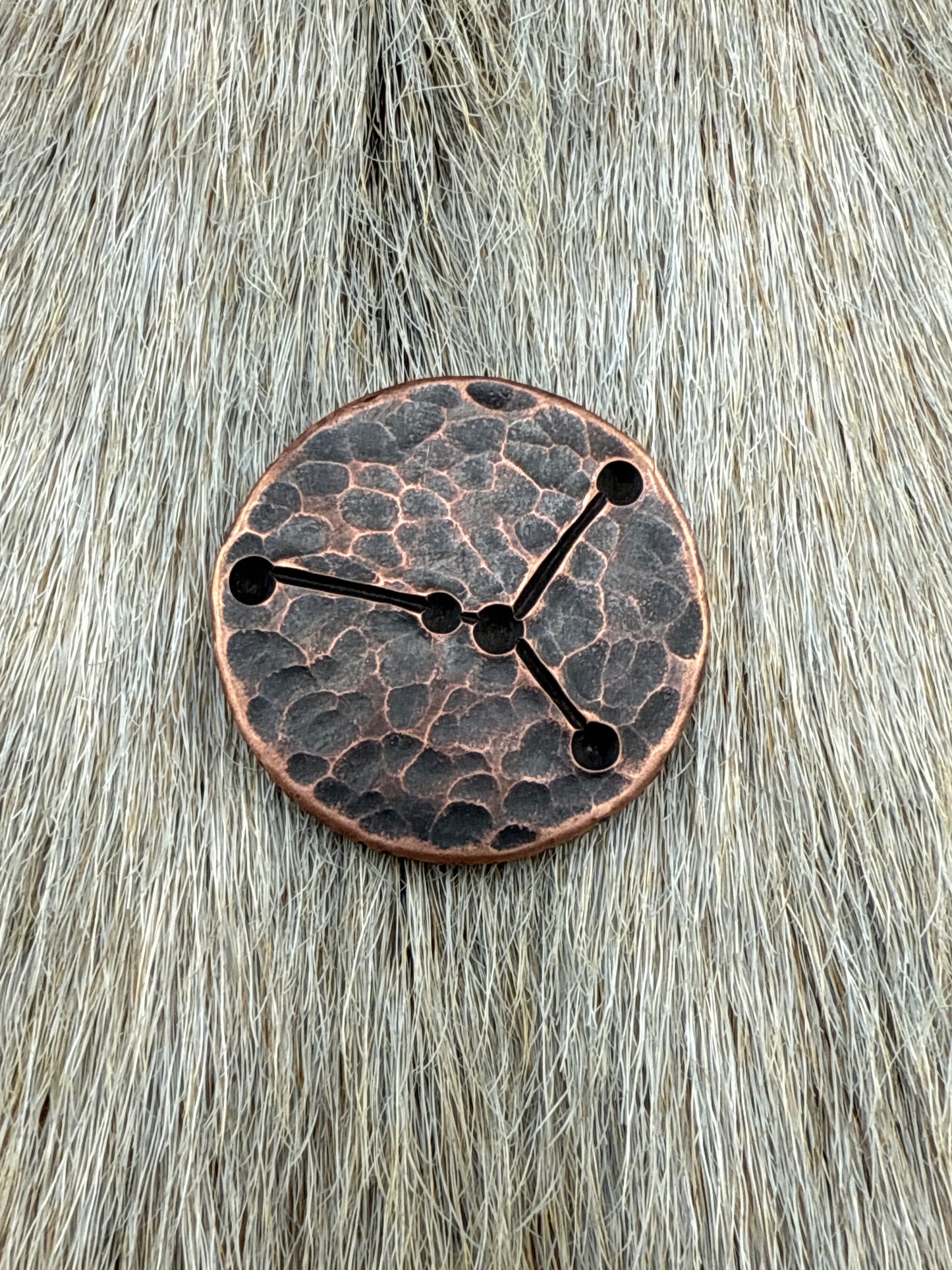 Constellation Coin: Cancer