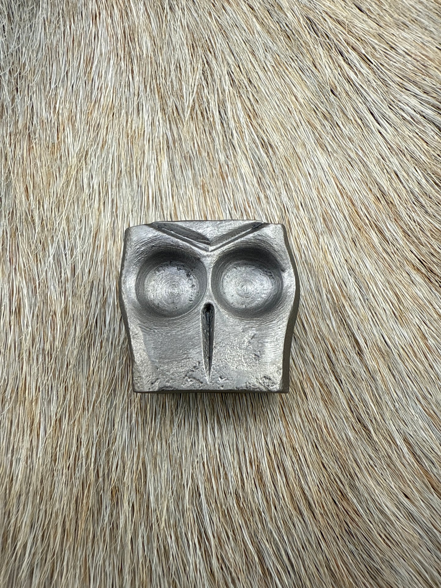 Owl Skull