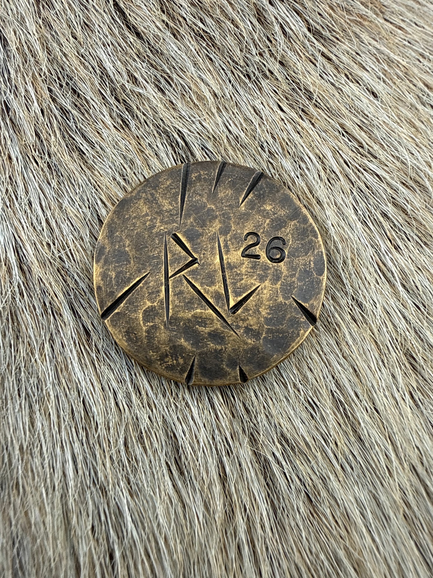 RustCoin: Nuka World Token