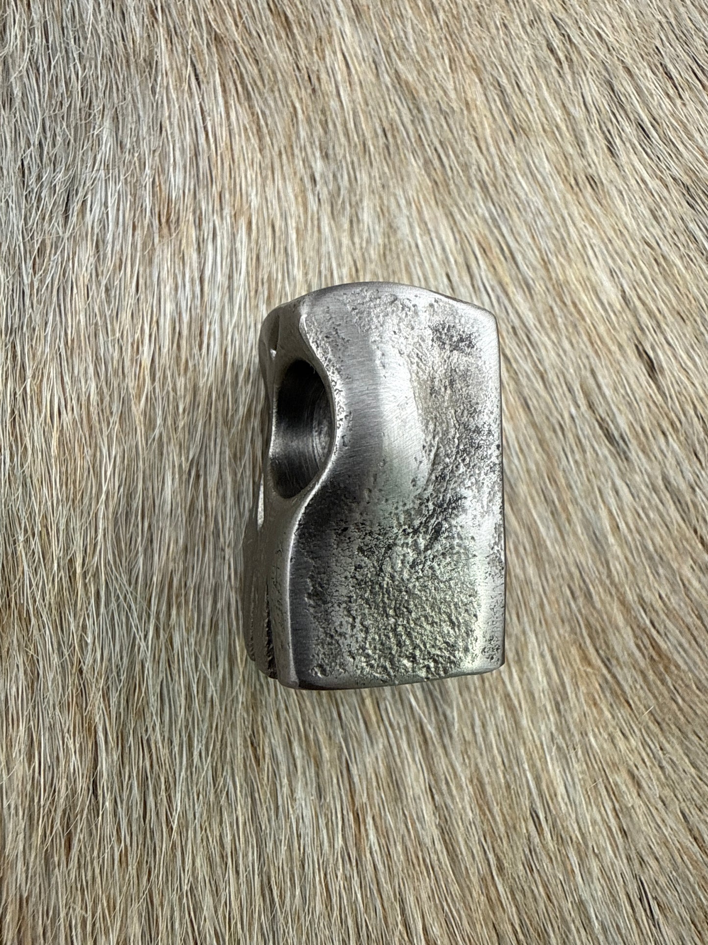 Jawless Skull