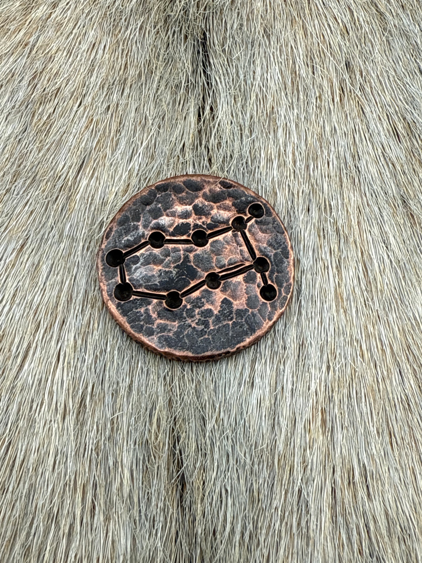 Constellation Coin: Gemini