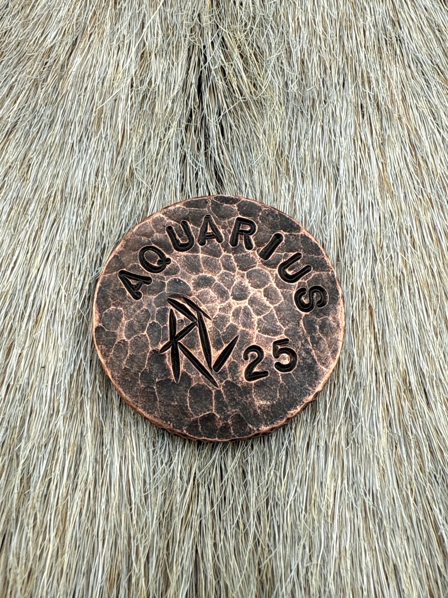 Constellation Coin: Aquarius