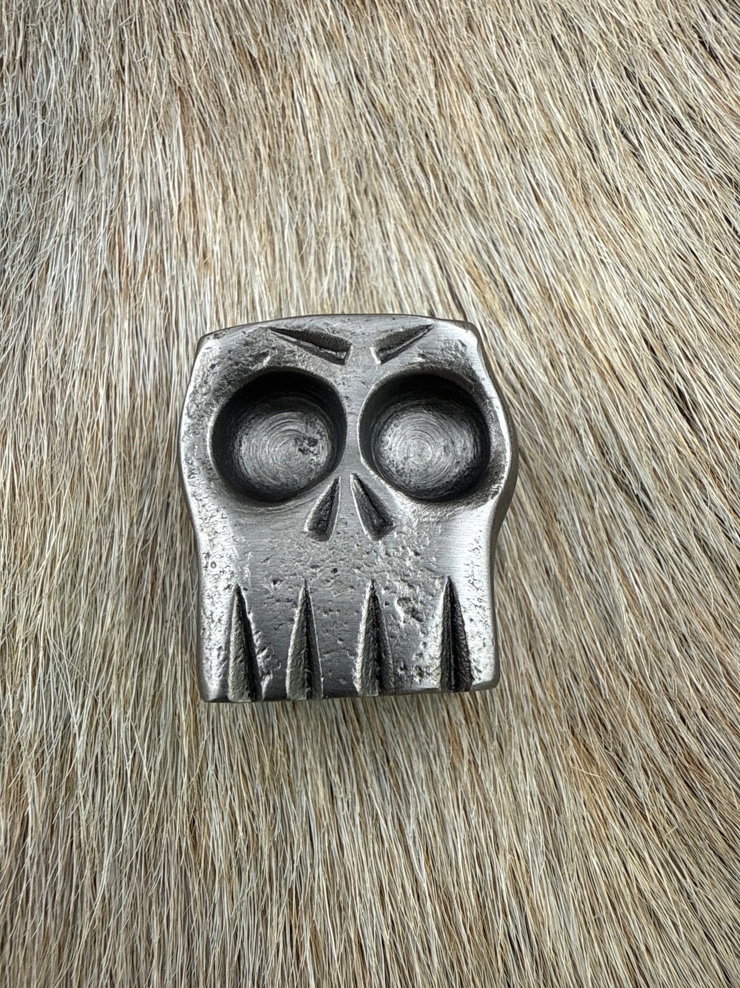 Jawless Skull