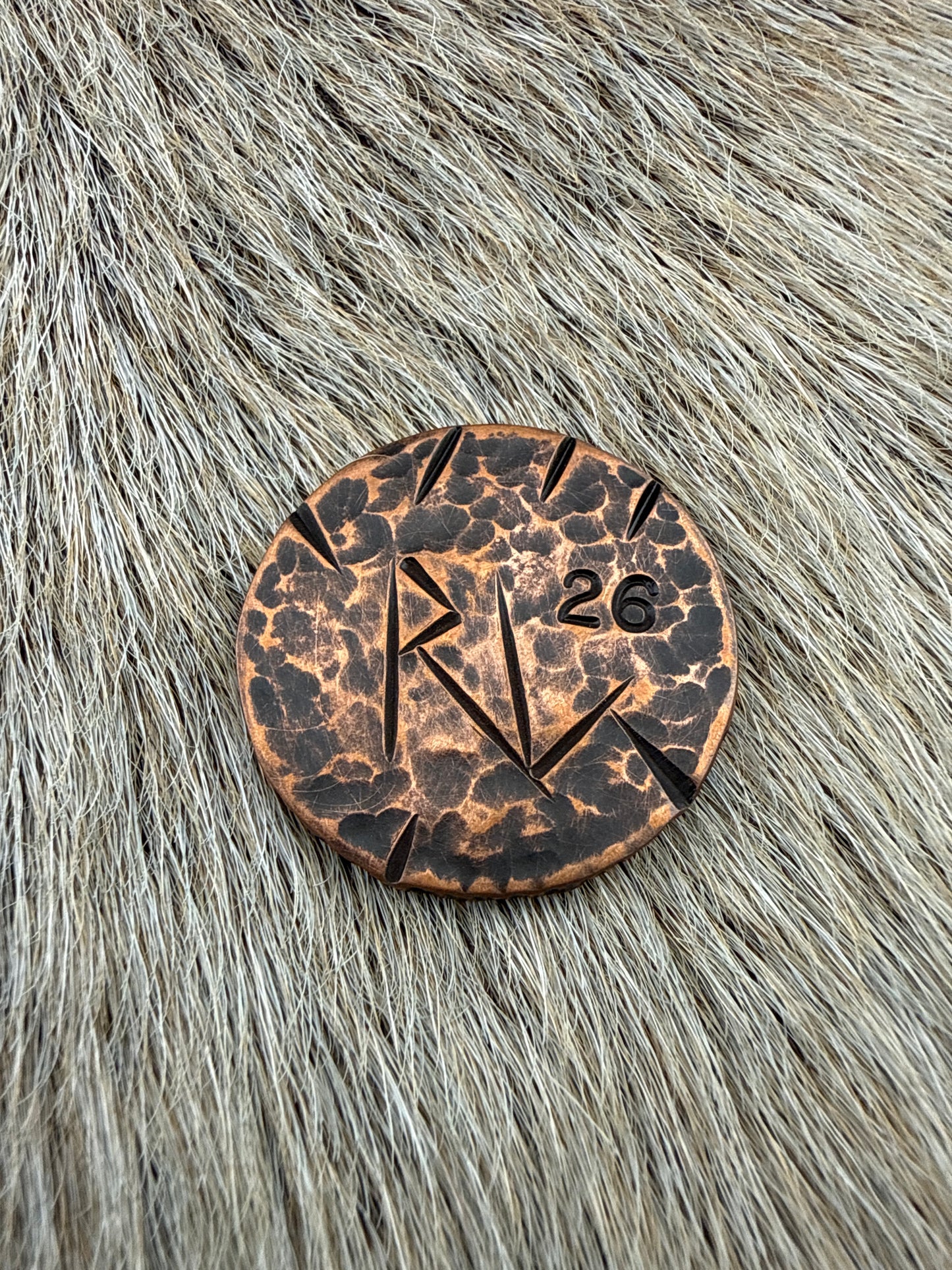 RustCoin: Nuka World Token