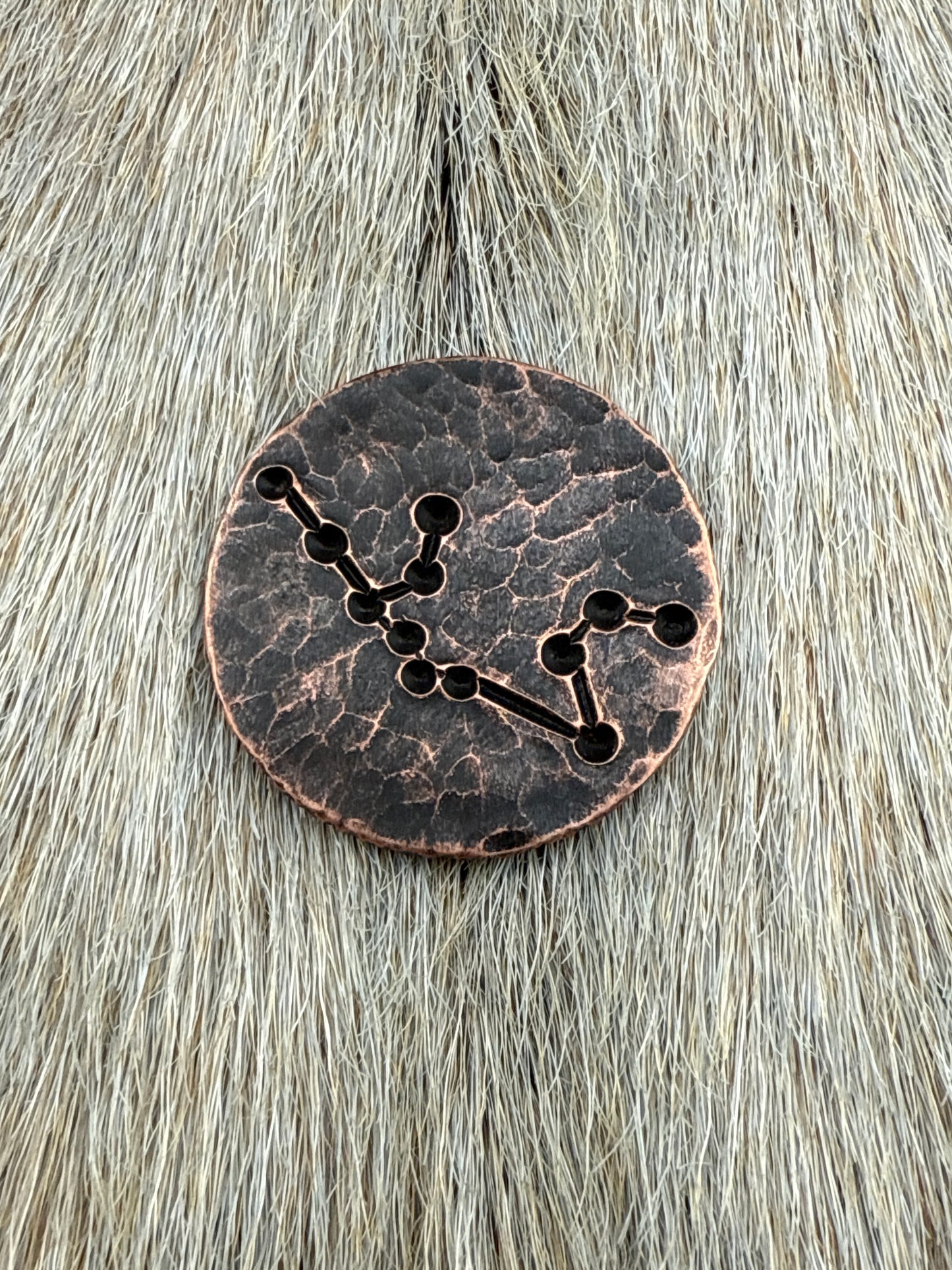 Constellation Coin: Aquarius