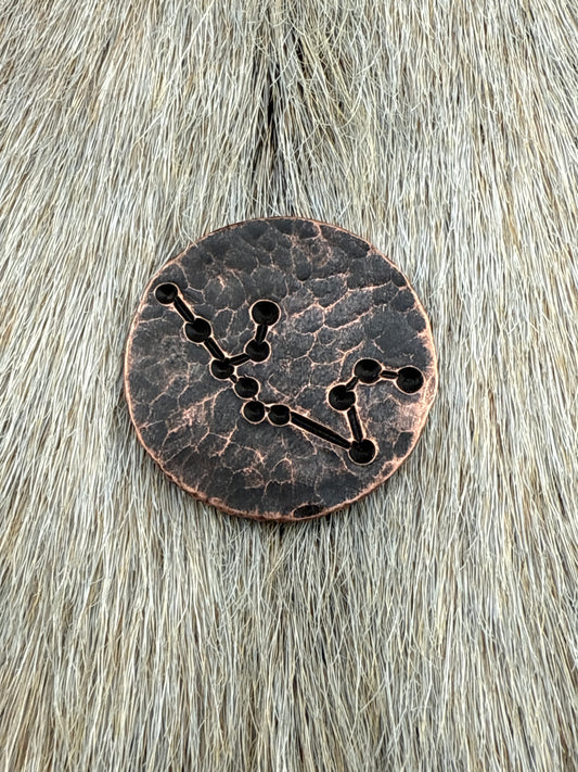 Constellation Coin: Aquarius